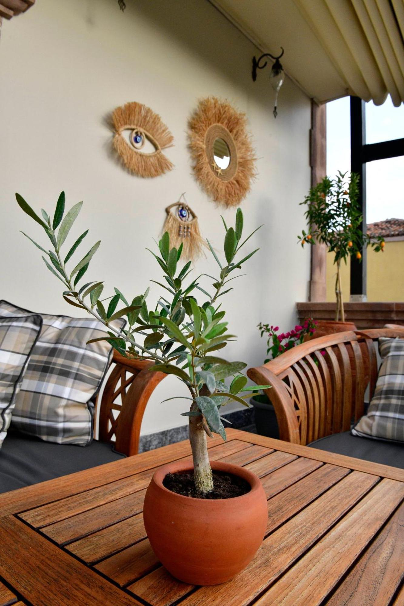 Hotel Siyah Lale Cunda 1841 (Adults Only) Ayvalı Exteriér fotografie