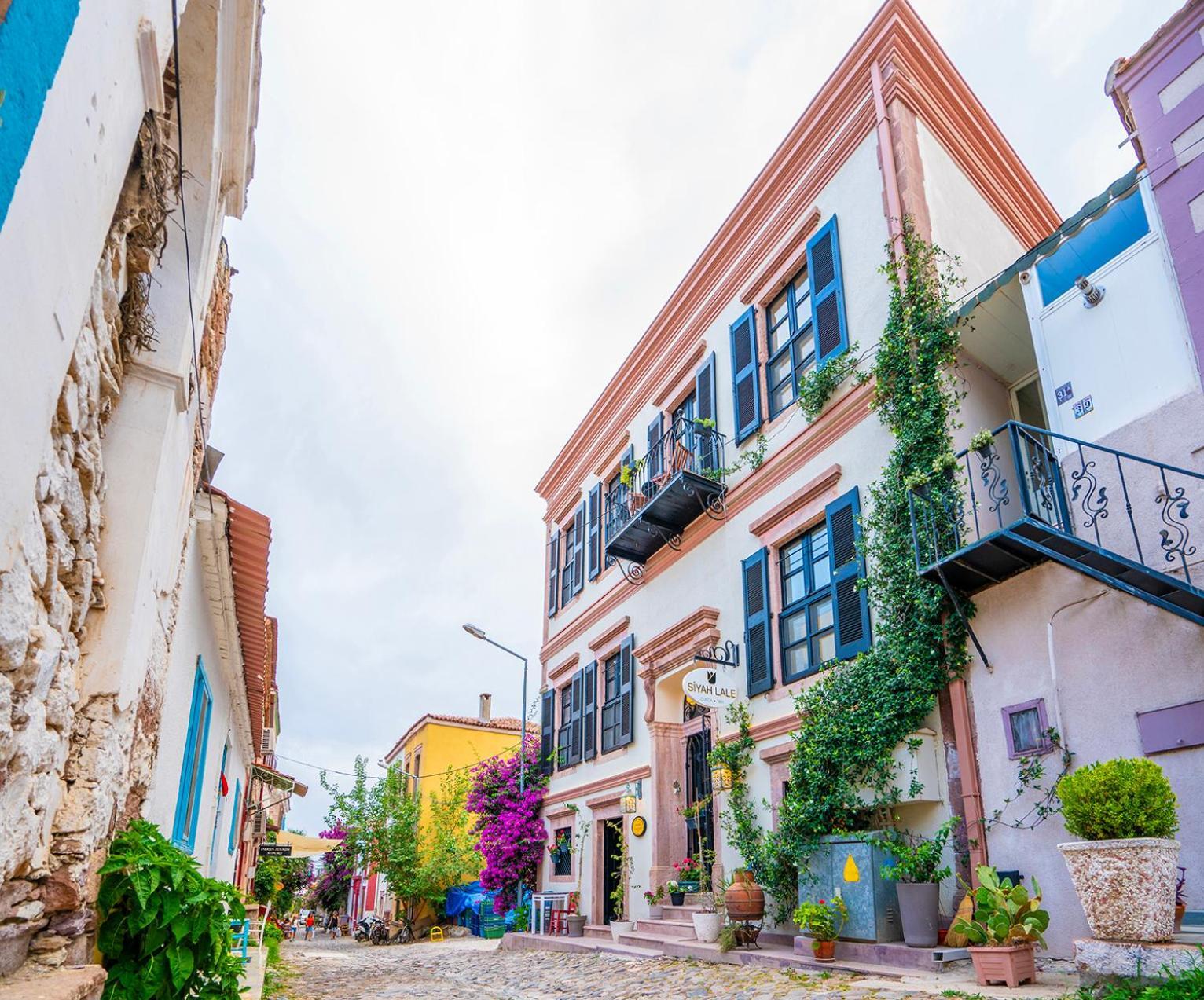 Hotel Siyah Lale Cunda 1841 (Adults Only) Ayvalı Exteriér fotografie